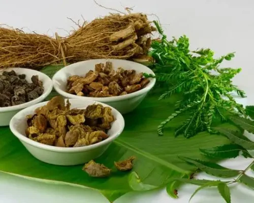 Ayurvedic_Pharmacology-22022020073414.jpg